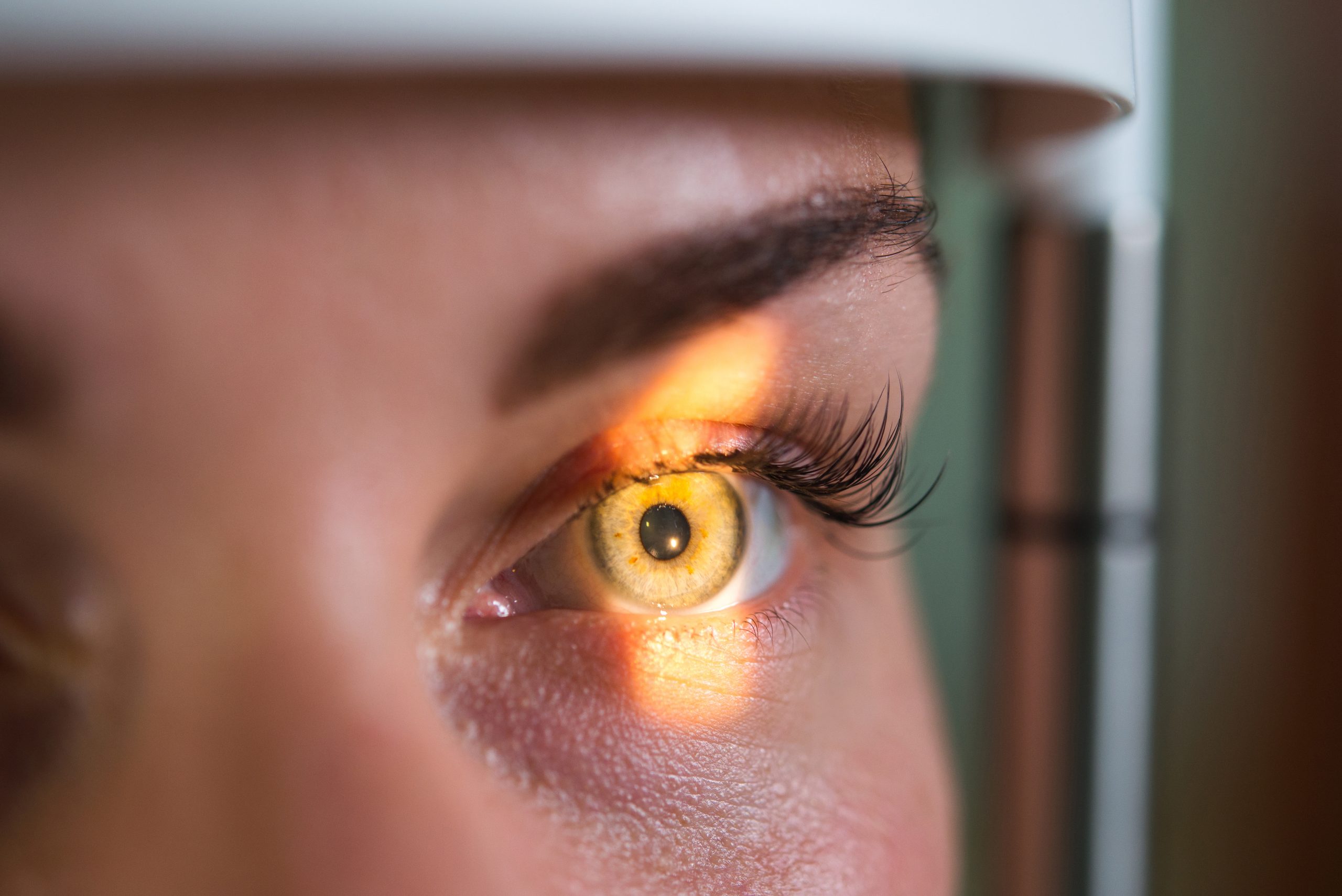Detailed retinal image captured during a comprehensive eye exam by Dr. Joseph Schkolnick